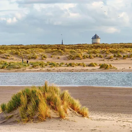 In Near Zwin Nature Reserve *