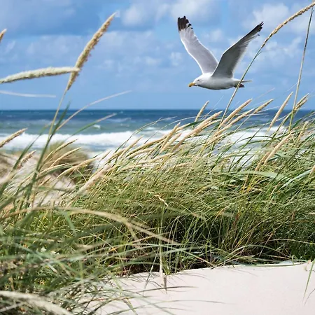 In Near Zwin Nature Reserve アパート *