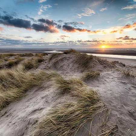 Appartamento In Near Zwin Nature Reserve *